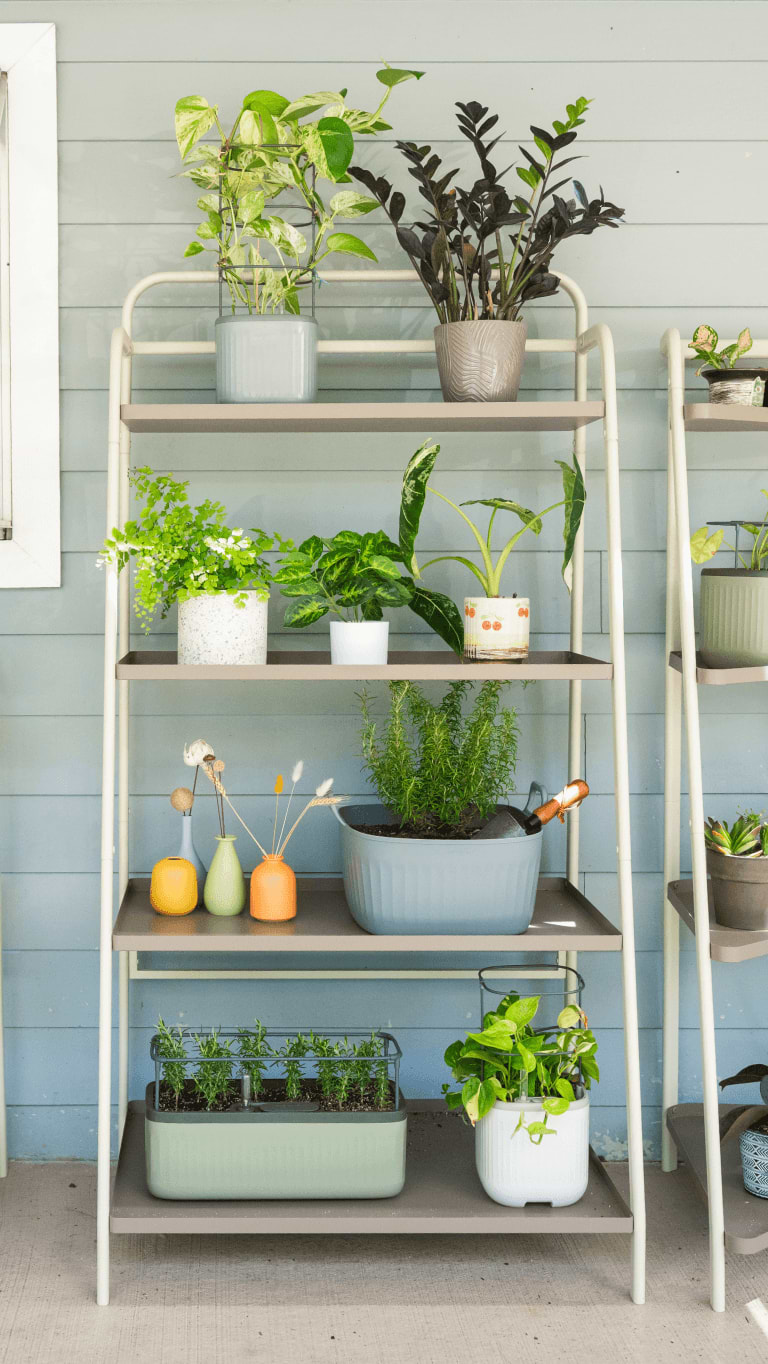 Vego garden beds
