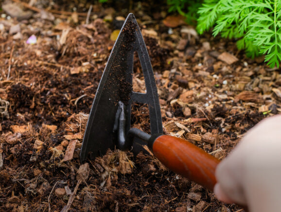 Vego garden beds