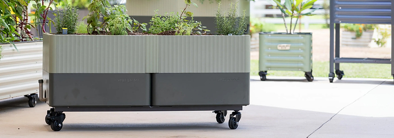 Vego garden beds