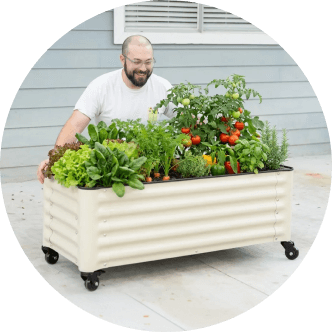 Vego garden beds
