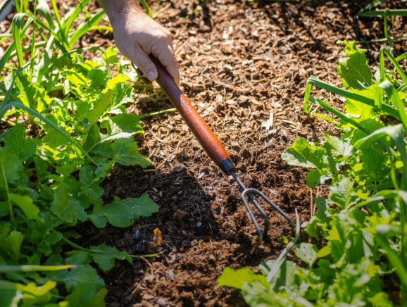 Vego garden beds