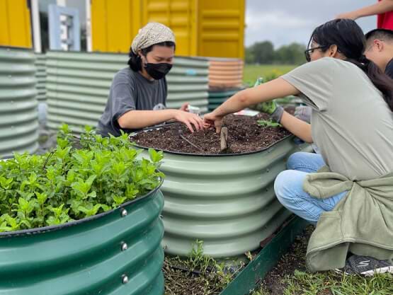 Vego garden beds