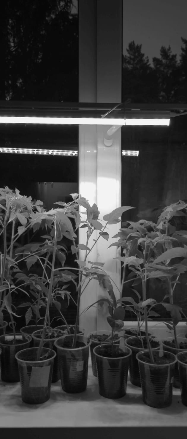 2 Tier Tabletop Grow Light Garden