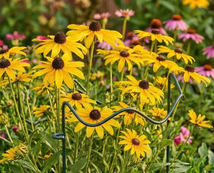 Vego garden beds