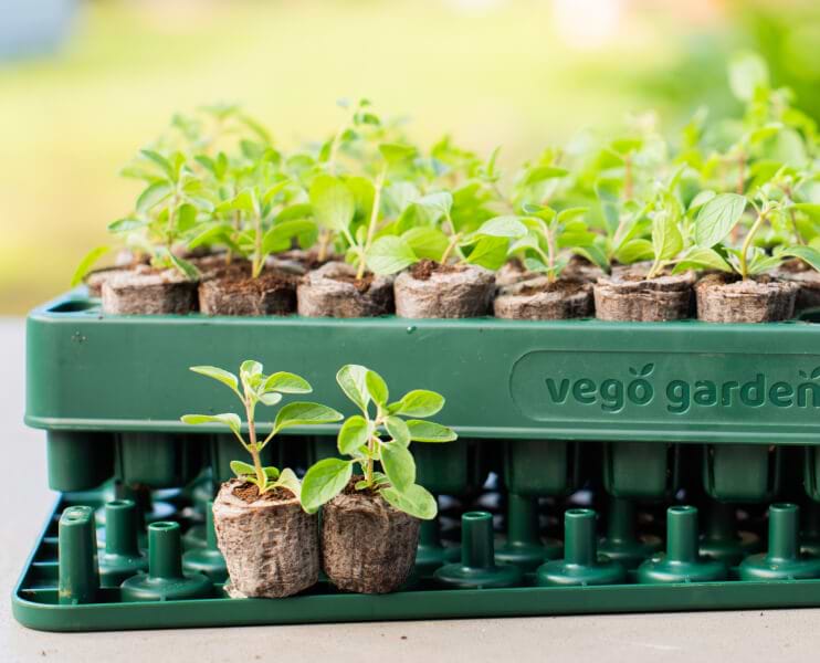 Vego garden beds