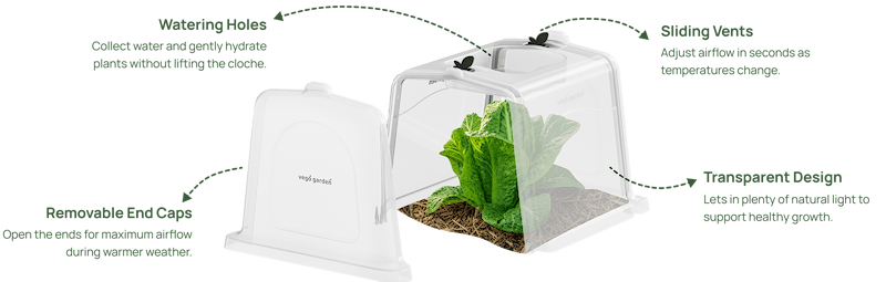 Vego garden beds