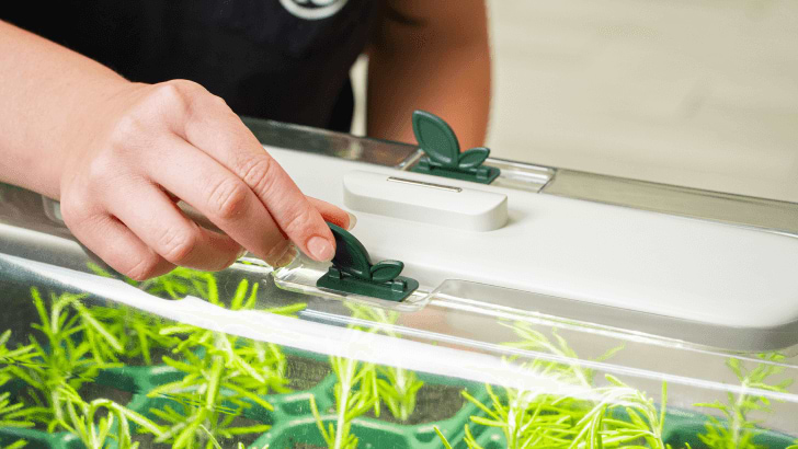 Vego garden beds