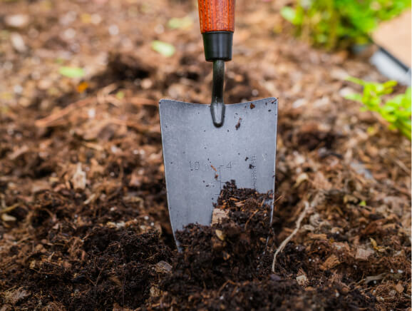 Vego garden beds