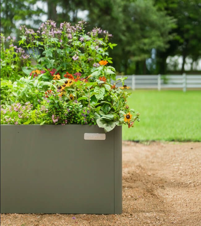 Vego garden beds