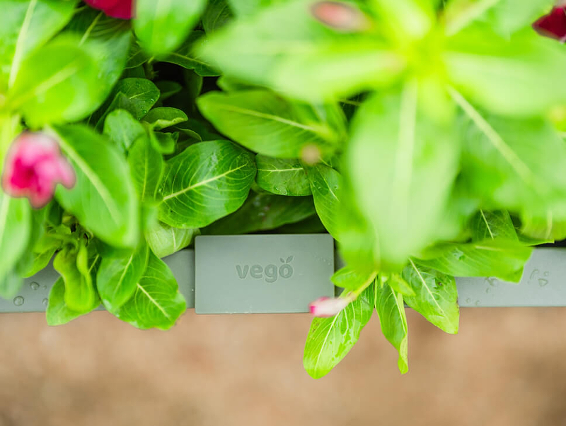 Vego garden beds