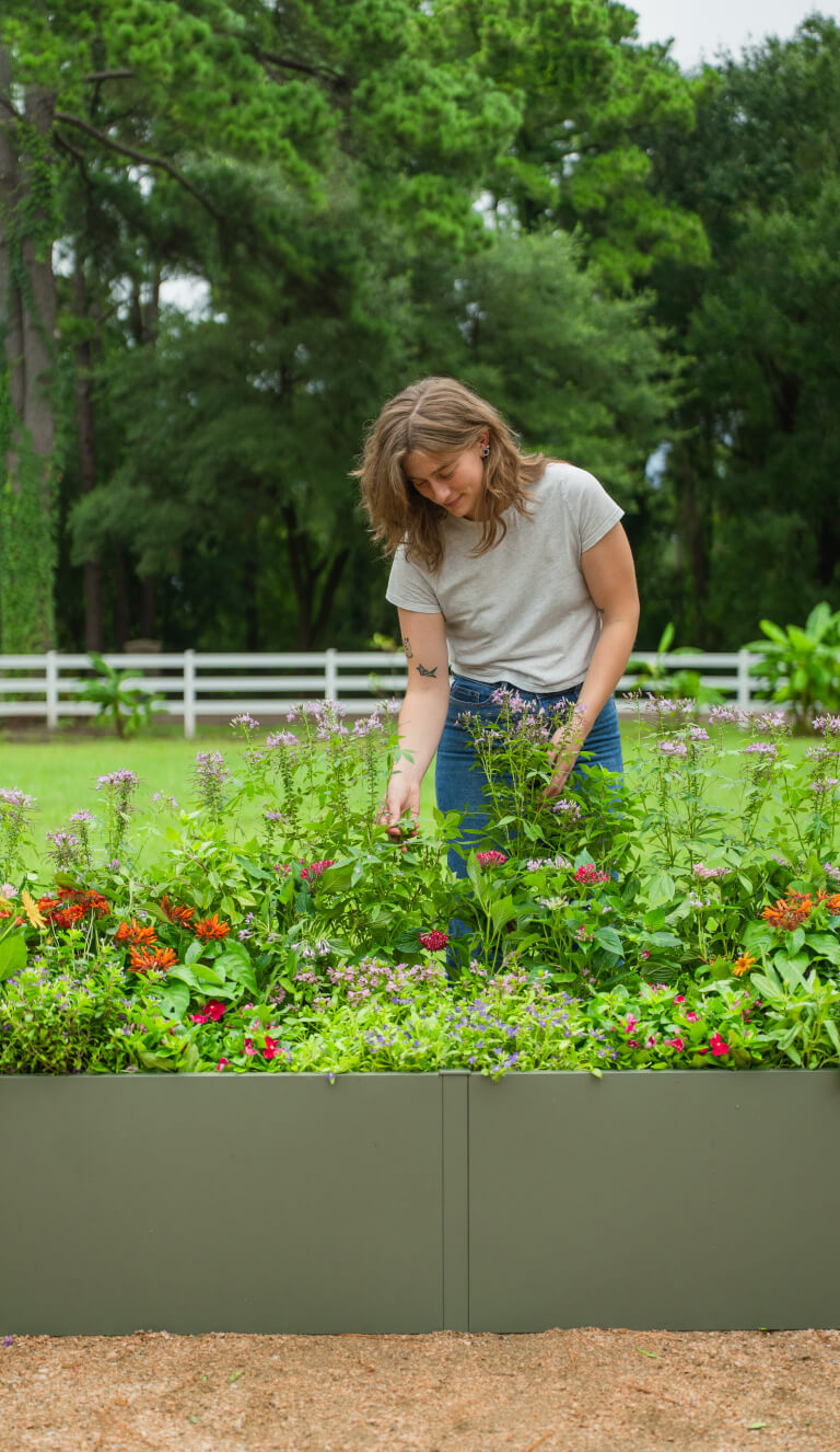 Vego garden beds