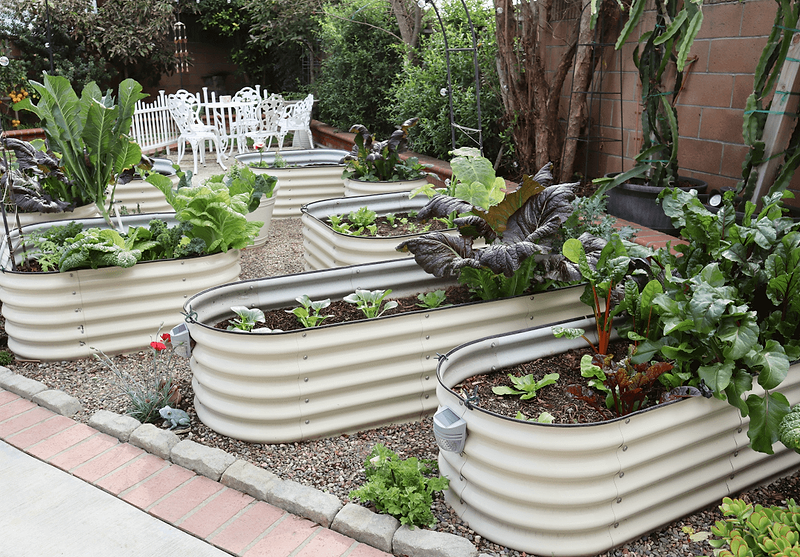 Vego garden beds