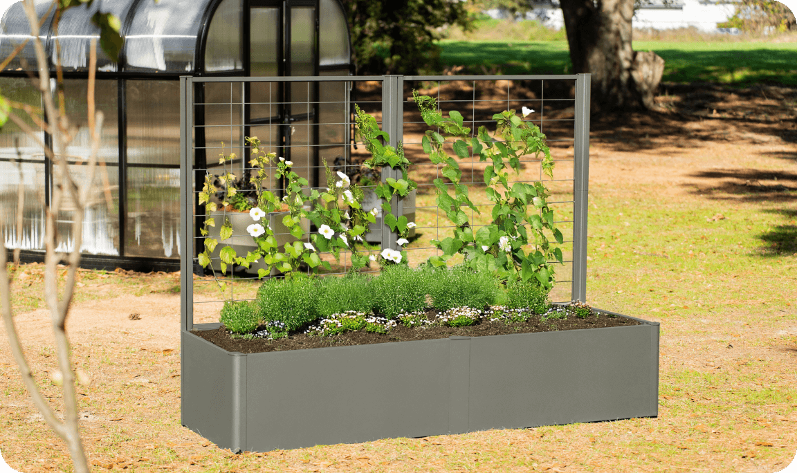 Vego garden beds