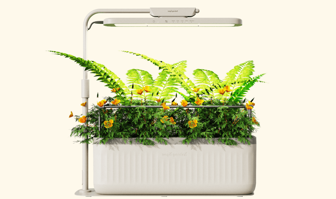 Vego garden beds