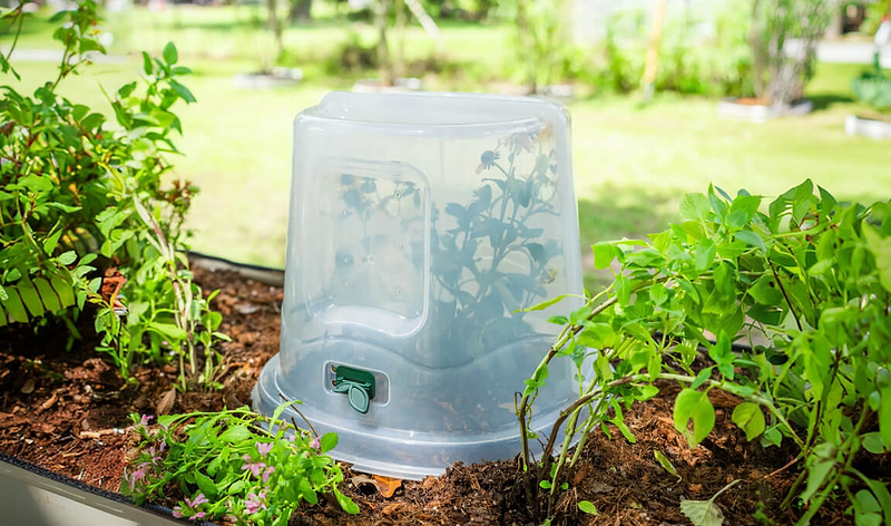 Vego garden beds