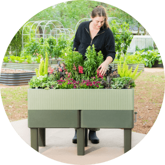 Vego garden beds