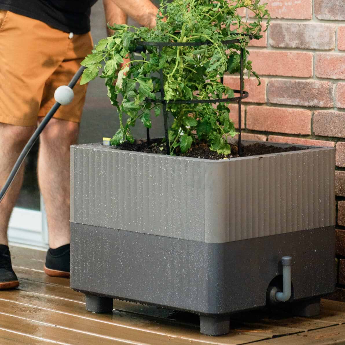 EZCube Planter