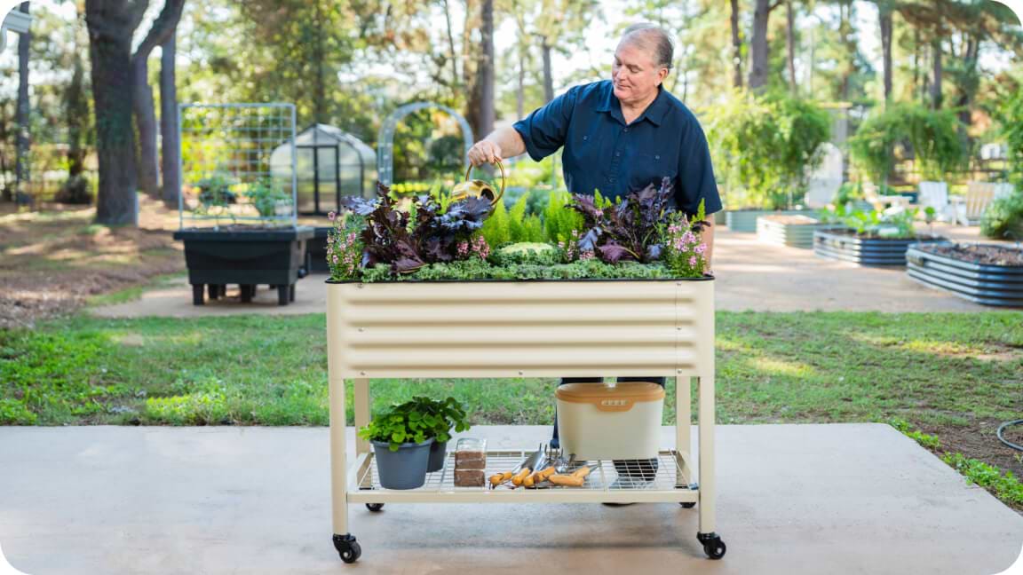 Vego garden beds