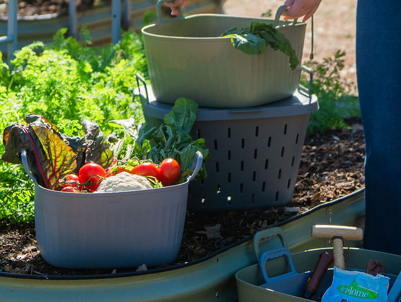 Vego garden beds