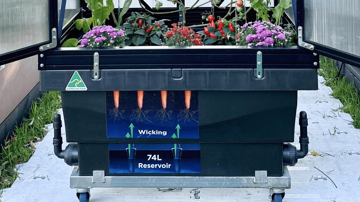 Vego garden beds