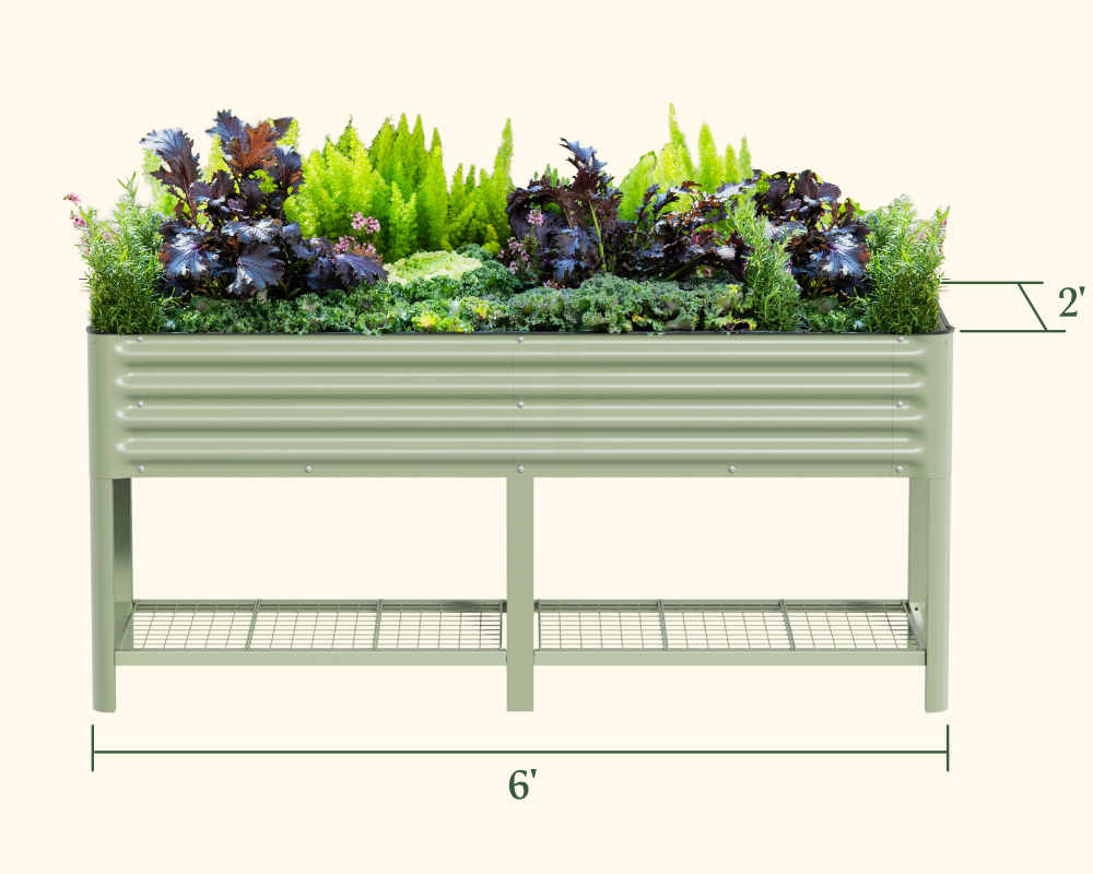 Elevated Garden Bed 2' x 6'
