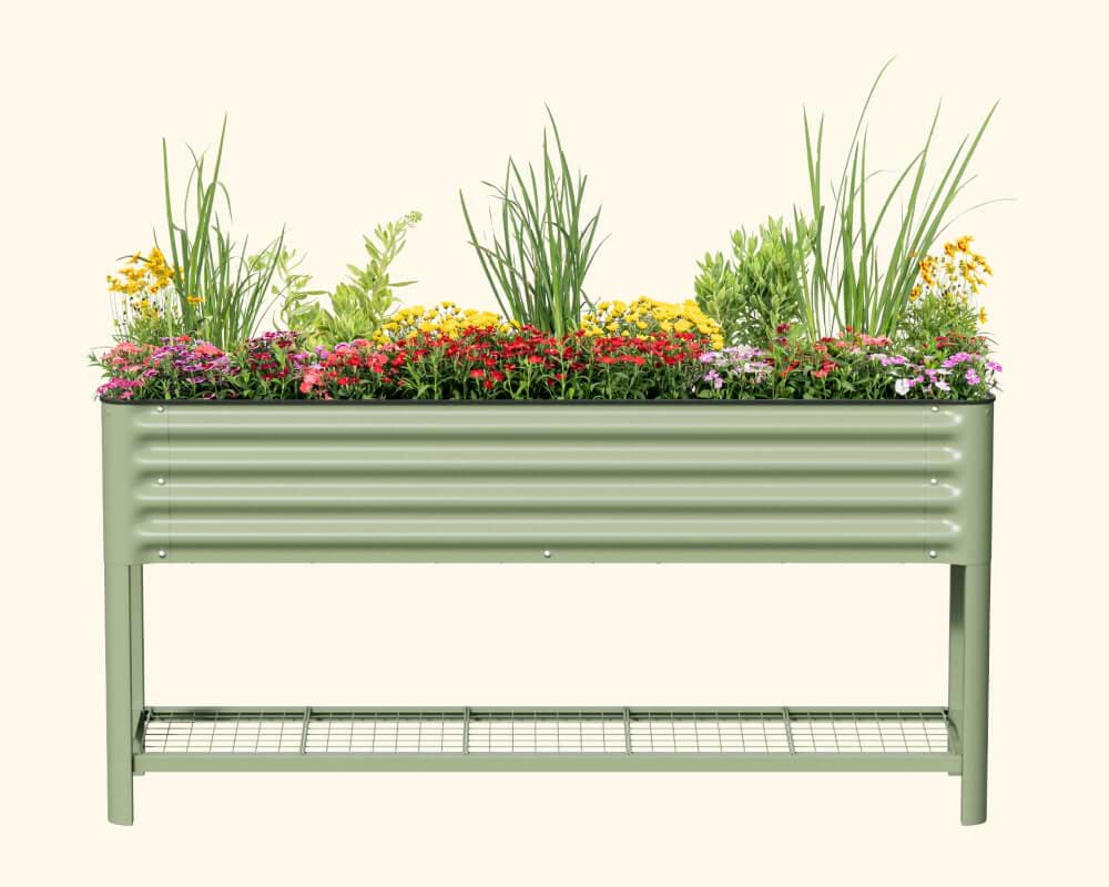 Elevate Your Garden