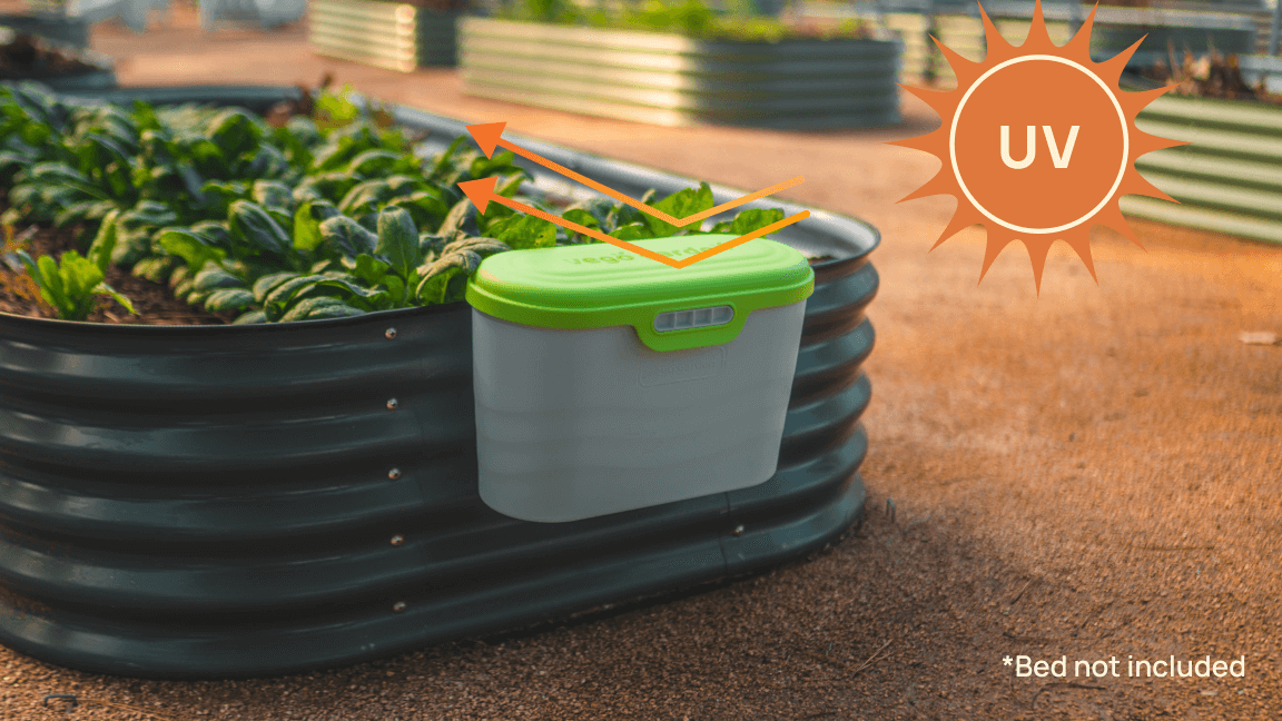 Vego garden beds