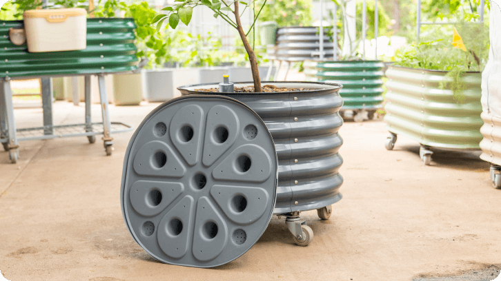 Vego garden beds