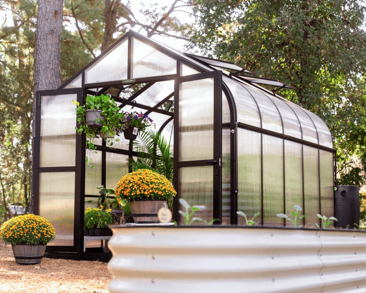 Vego garden beds