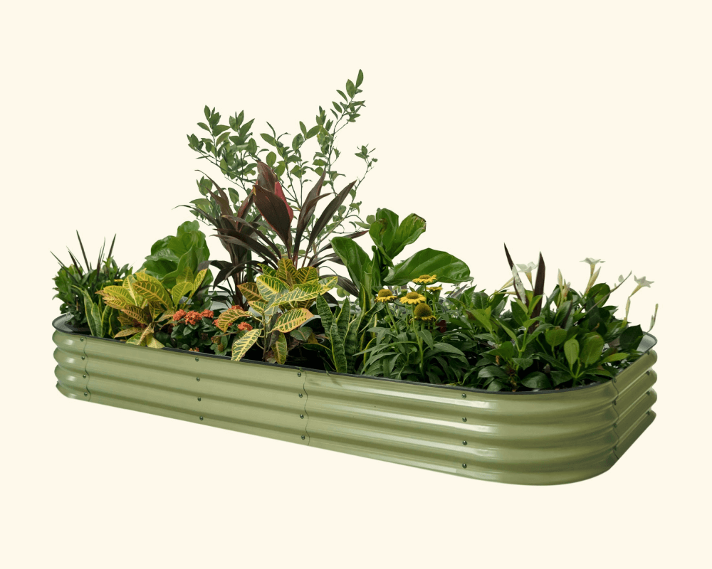 Features That Grow with You