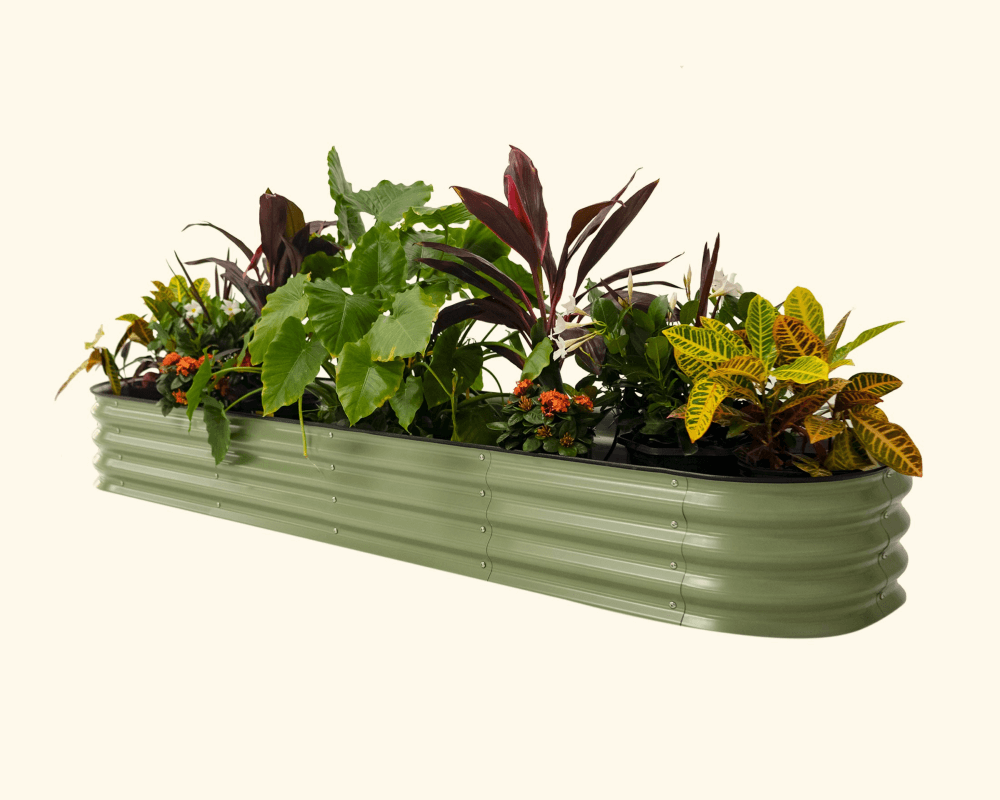 Features That Grow with You