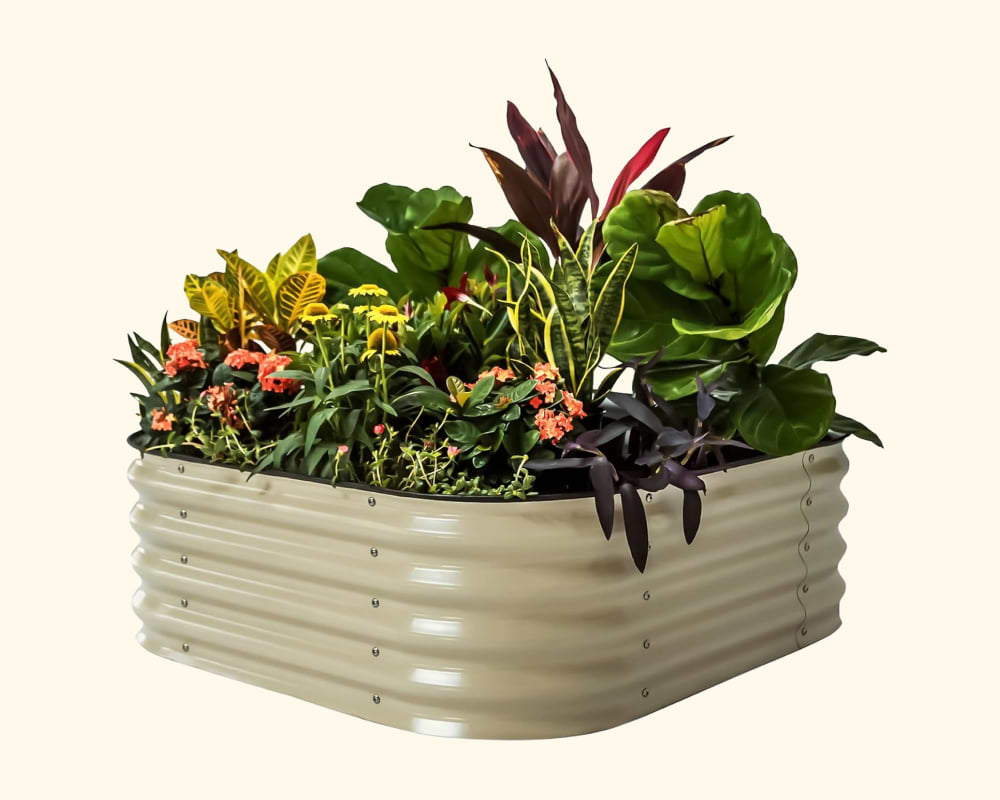 Vego garden beds