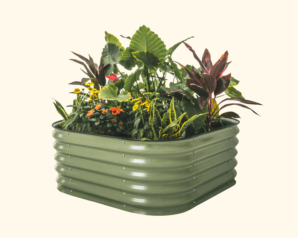 Features That Grow with You