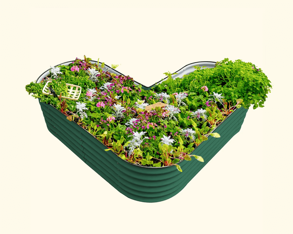 Features That Grow with You