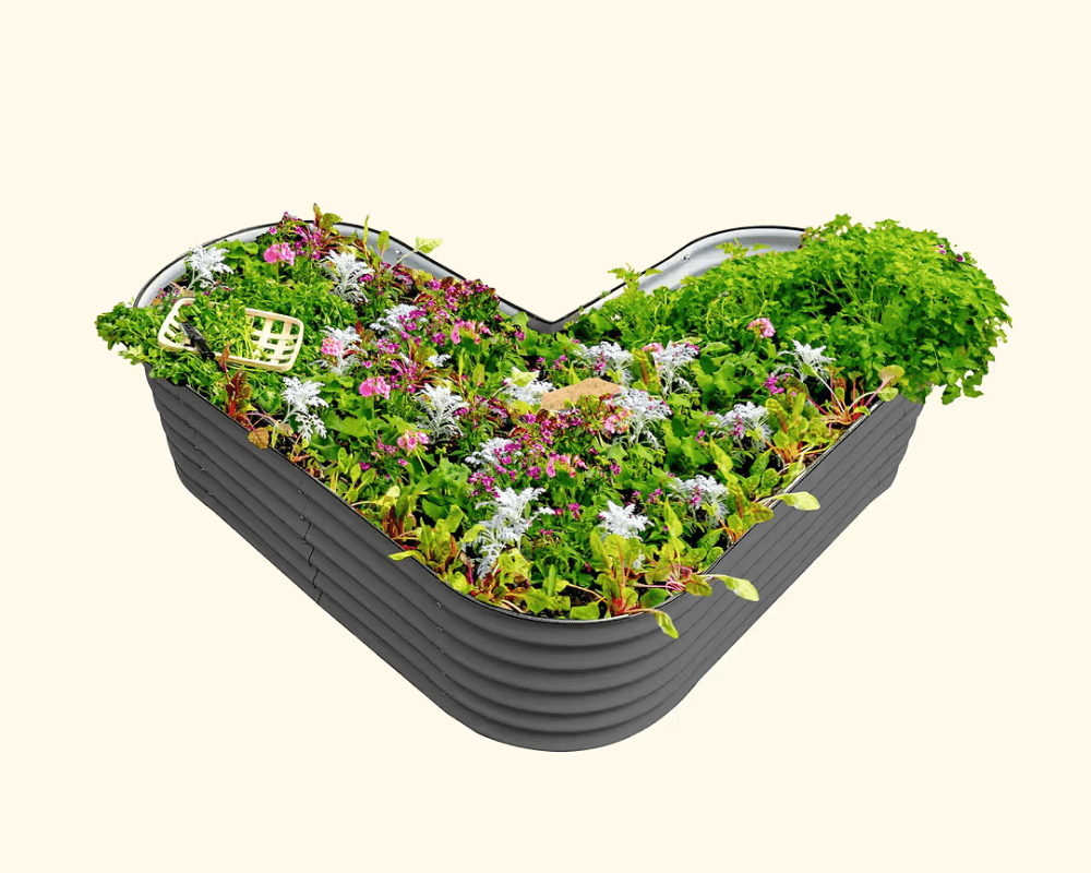 Features That Grow with You