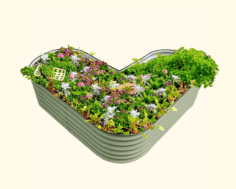 Features That Grow with You