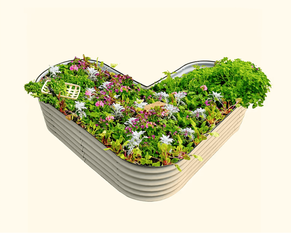 Features That Grow with You