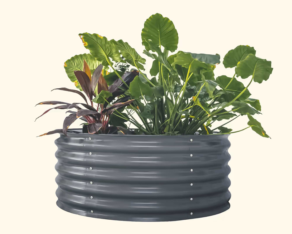 Features That Grow with You