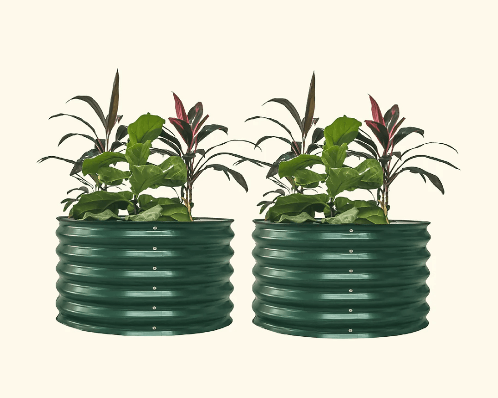 Features That Grow with You
