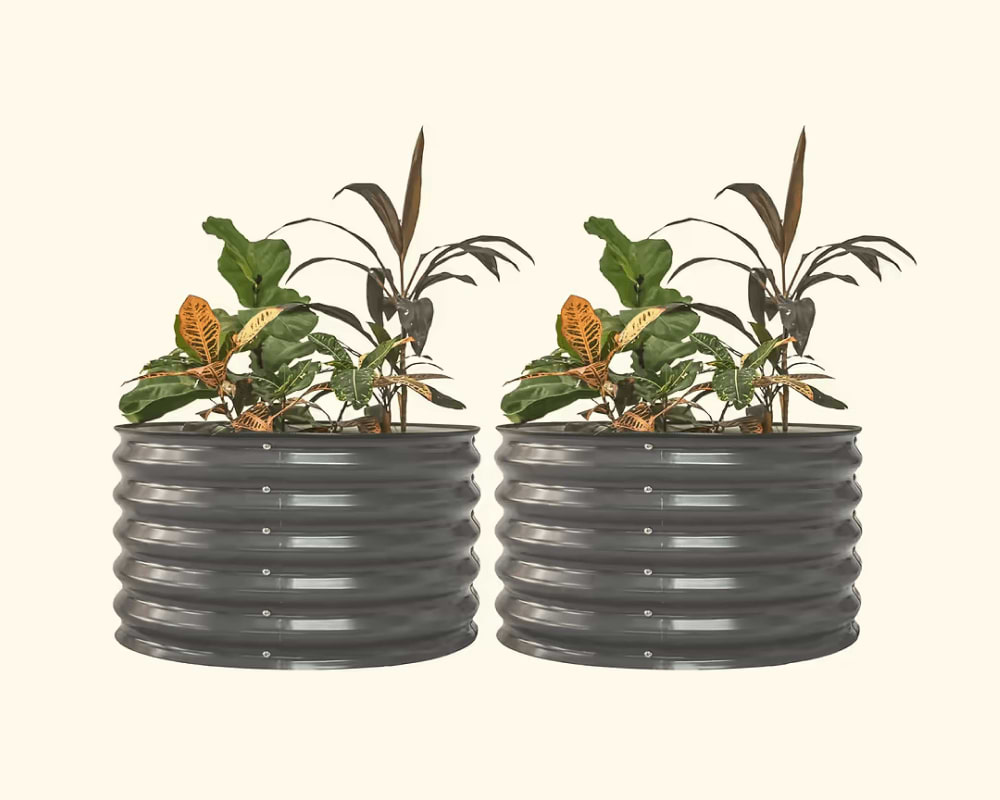 Features That Grow with You