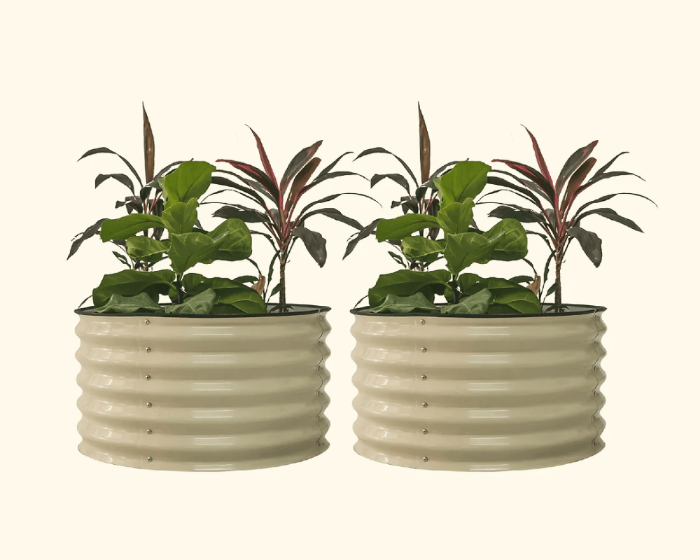 Features That Grow with You
