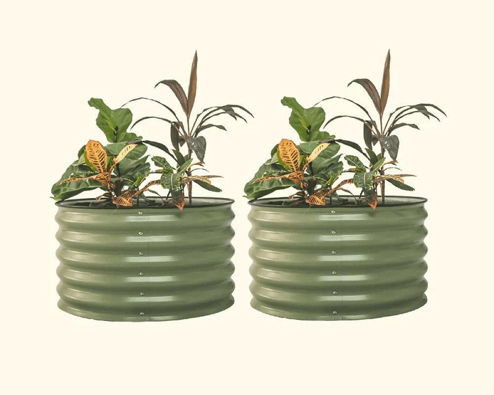 Features That Grow with You