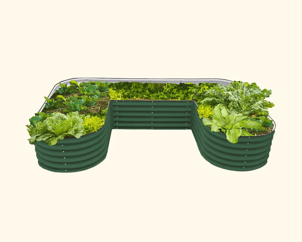 Features That Grow with You