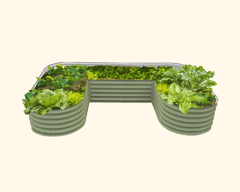 Features That Grow with You