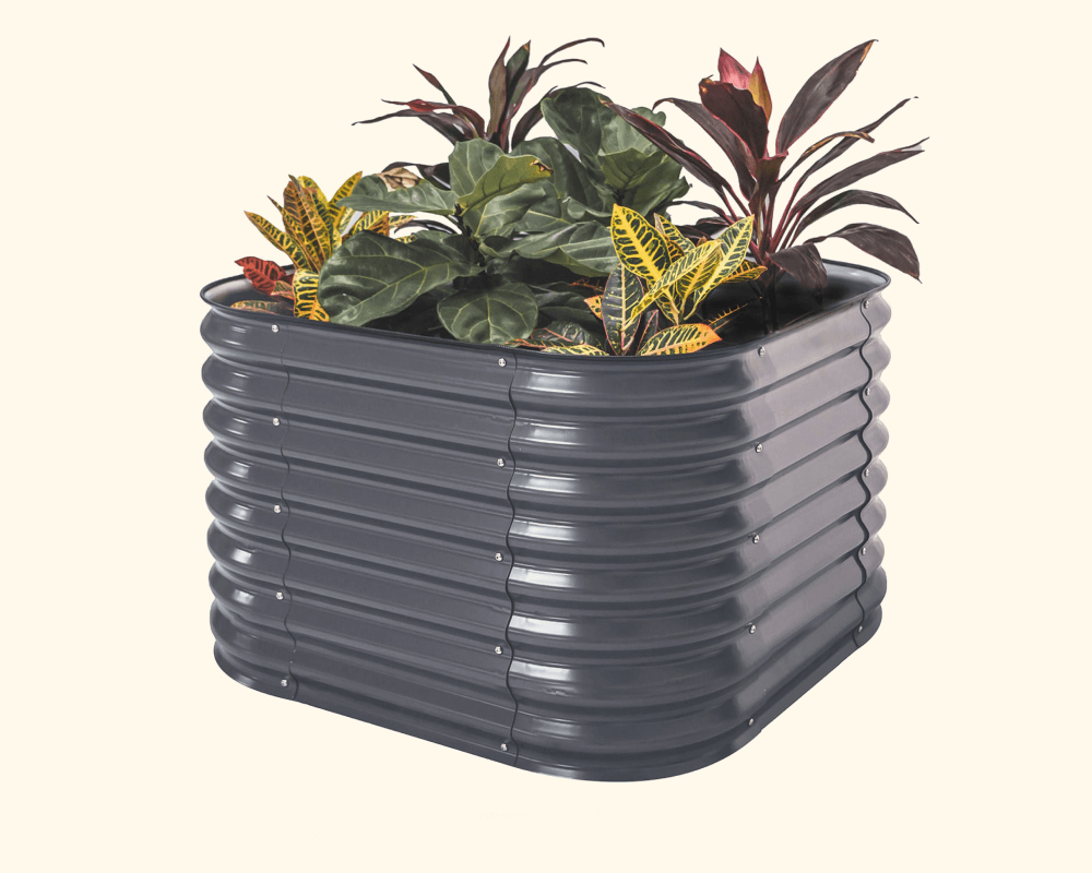Features That Grow with You