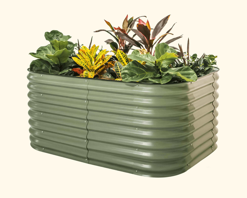 Features That Grow with You