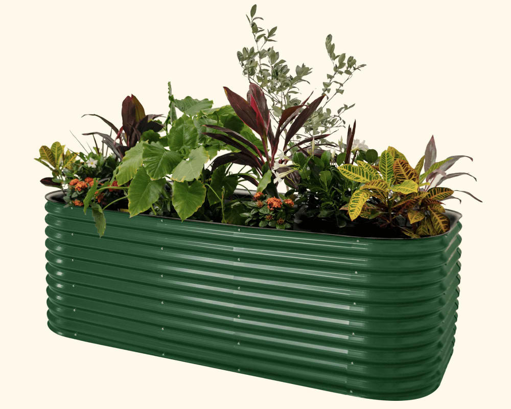 Features That Grow with You