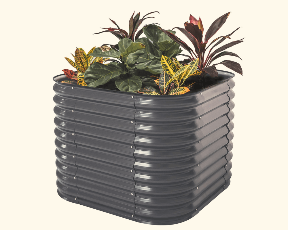 Features That Grow with You