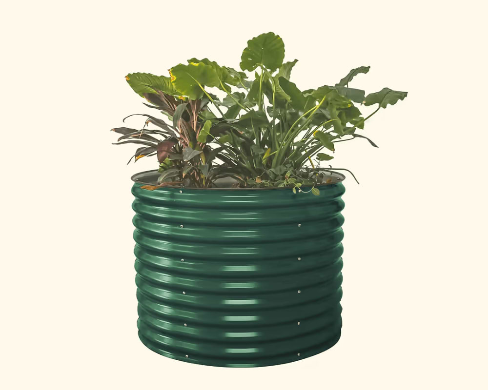 Features That Grow with You