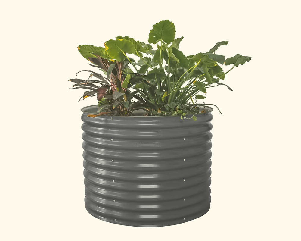 Features That Grow with You